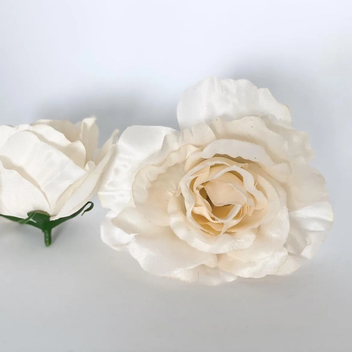 4.5" Beige Rose