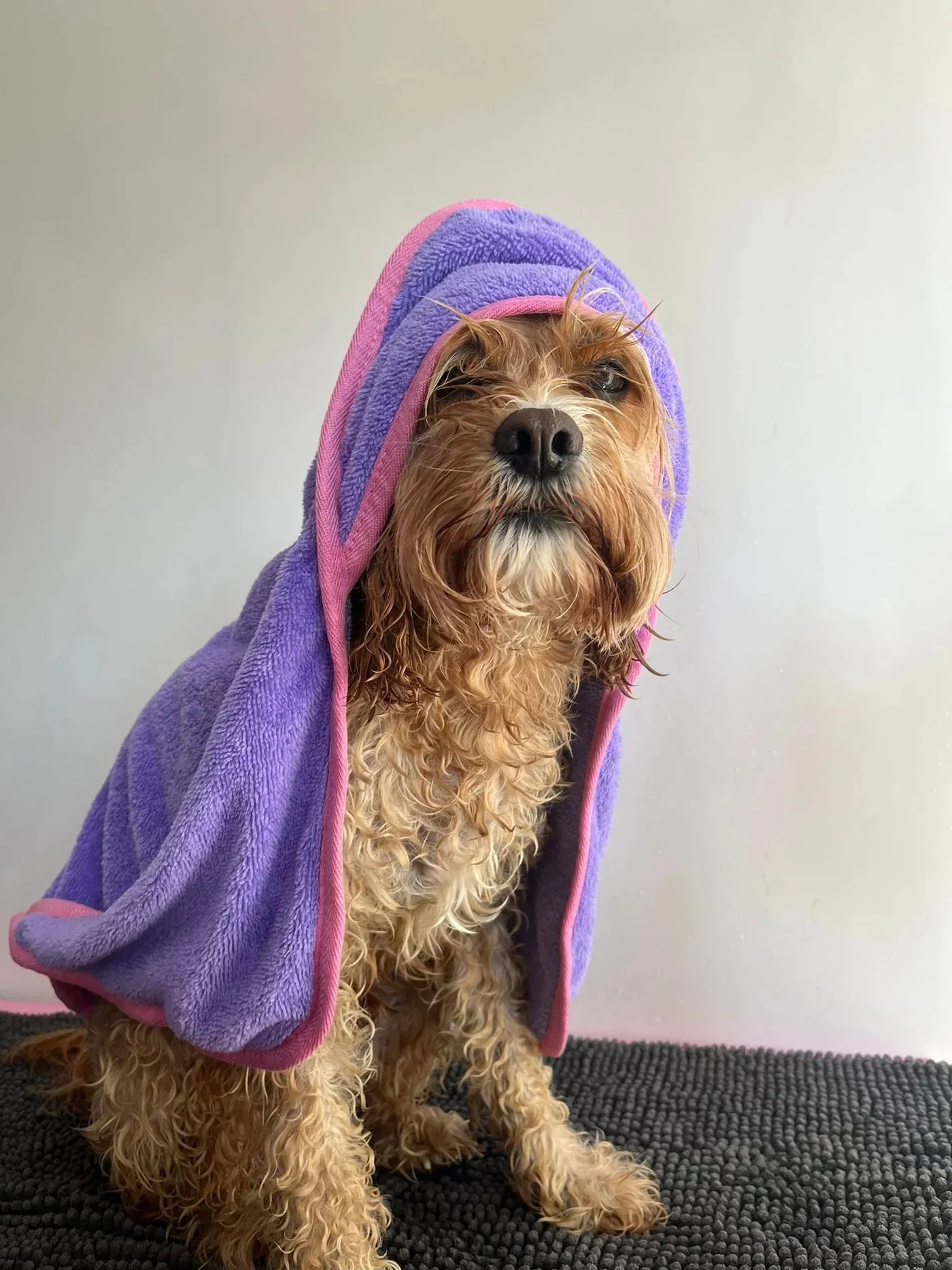 Bamboo Towel for Dogs - Small and Medium to Large Sizes