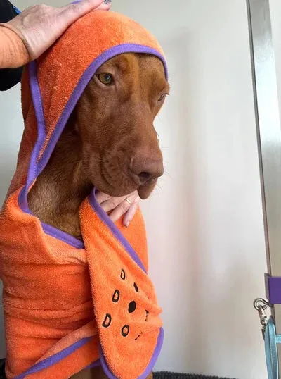 Bamboo Towel for Dogs - Small and Medium to Large Sizes
